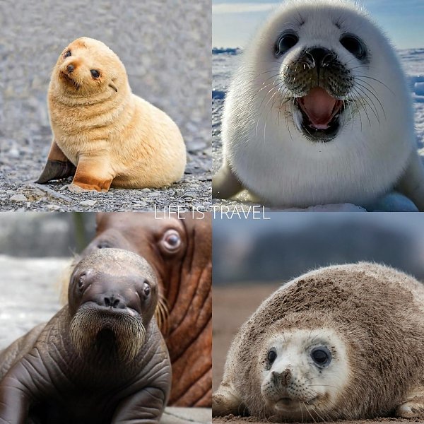   ?     -  ,        ...