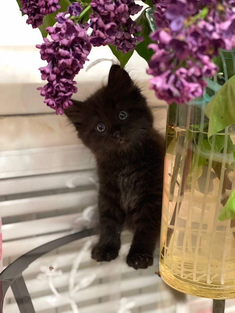 �������� ������� !