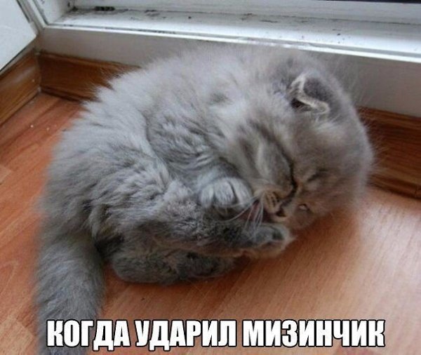    - 1  2021  22:13