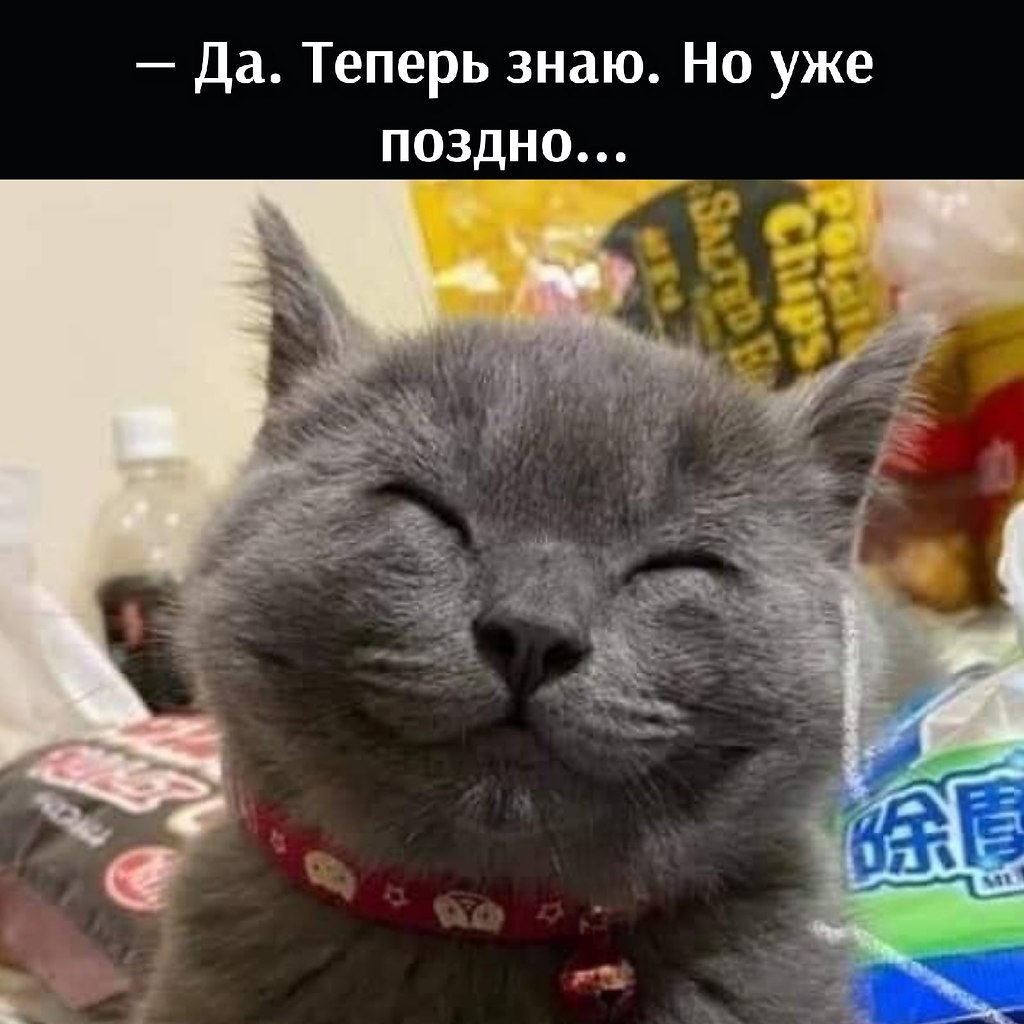       - 2  2021  13:07 - 2