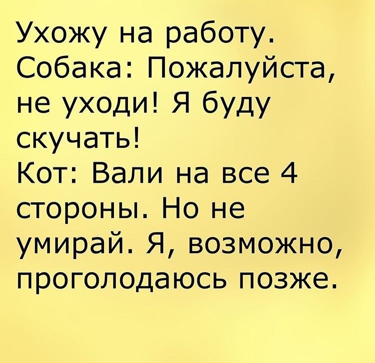    )  ,      ,    ))