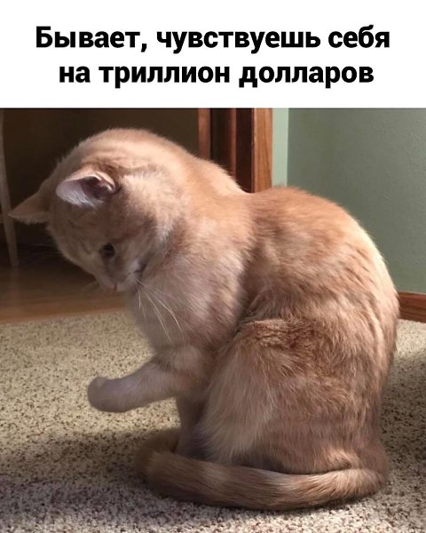�� ��, ����������� ������ �������� ������� ����� ����������.�������