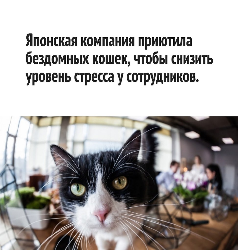       - 6  2021  18:49