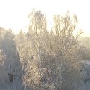 ,  -  13  2021    
