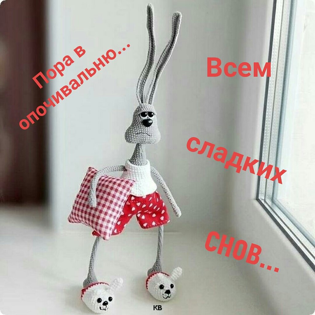   ,    . - 24  2021  22:19 - 2