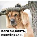  ,  -  12  2021    