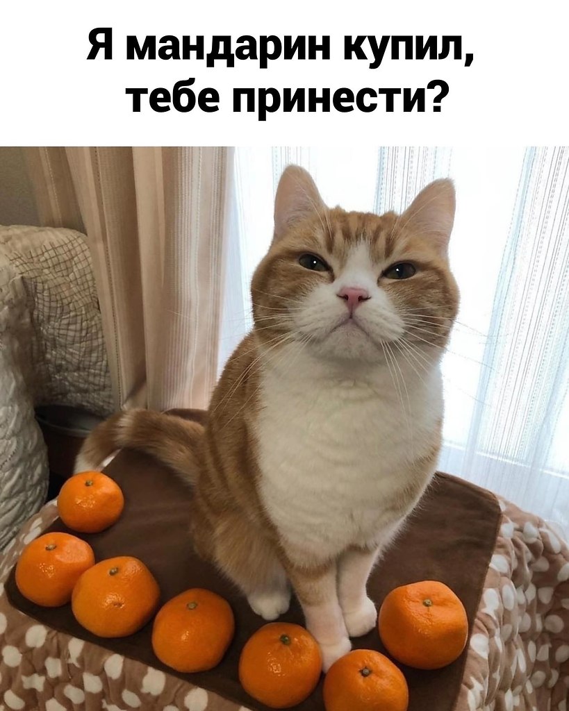   -   .