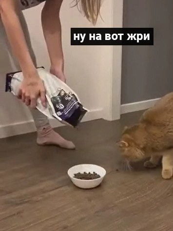     ) - 5