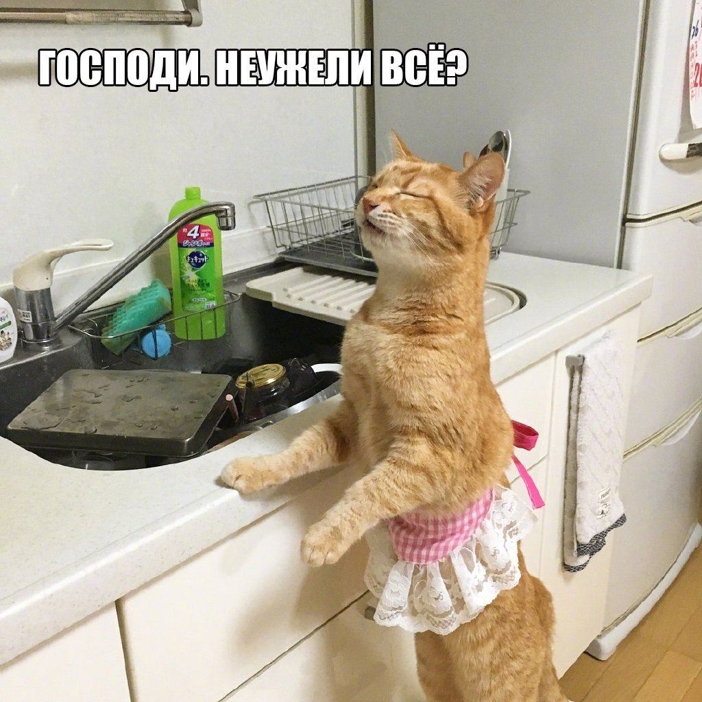  ,      - 2