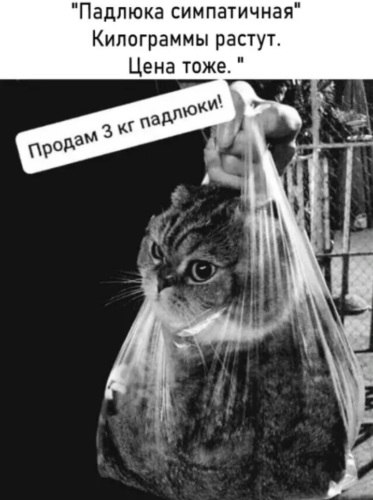   ! - 22  2021  06:22