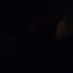 ���� Thanks, �����-���������, 35 ��� - ��������� 2 ������ 2022