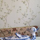 ���� ������, ������, 41 ��� - ��������� 8 ������ 2021 � ������ ���� ����������