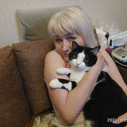 ������, �������, 63 ����