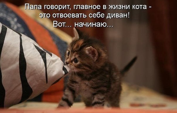    - 8  2021  18:31