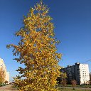  Irin@,  -  16  2021   2021