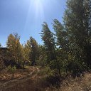 ���� ��������� *******, ����, 66 ��� - ��������� 21 �������� 2021 � ������ ���� ����������