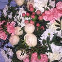 ���� ������, ���������, 38 ��� - ��������� 12 ������ 2021 � ������ ���� ����������