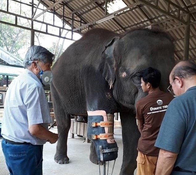 o  a o e -  , o a o o ...