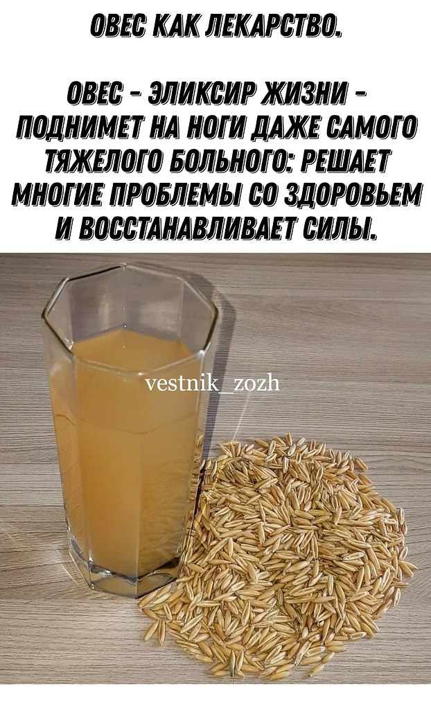   .  -   -       :  ...