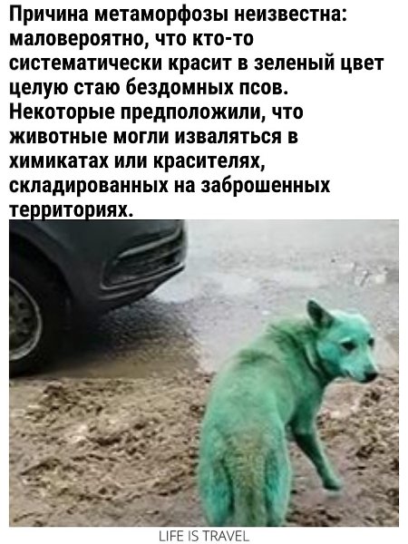   - 3