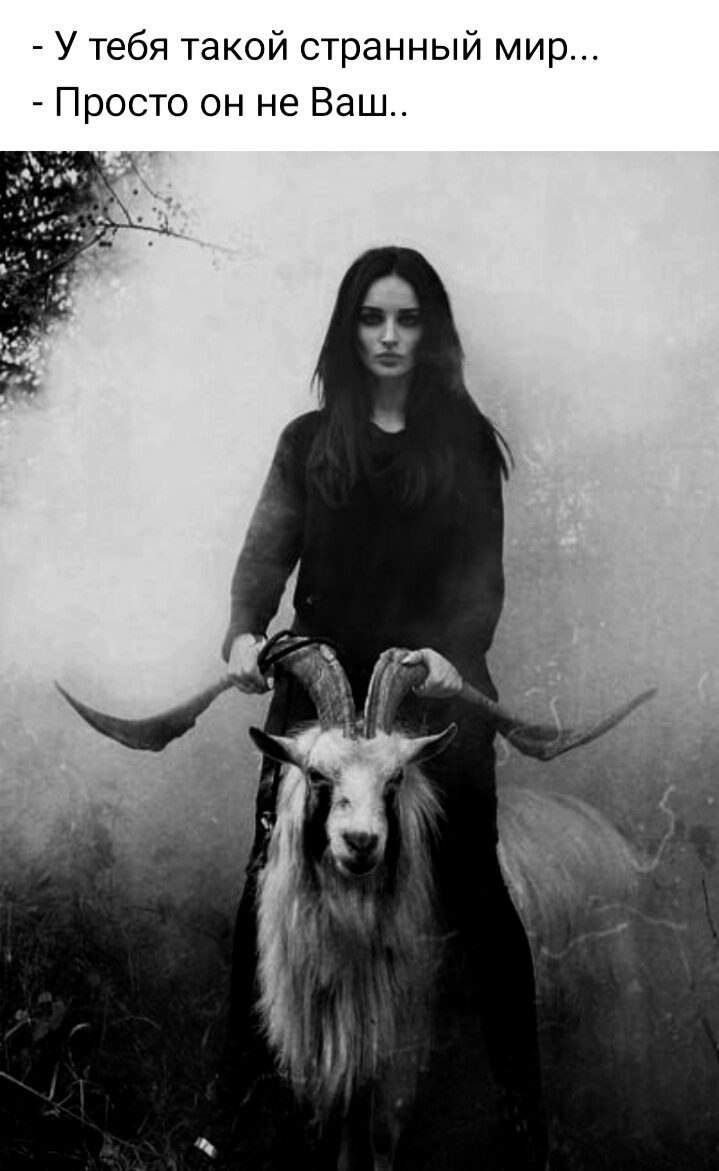 ***Victoria Viktorovna*** - 17  2021  09:36