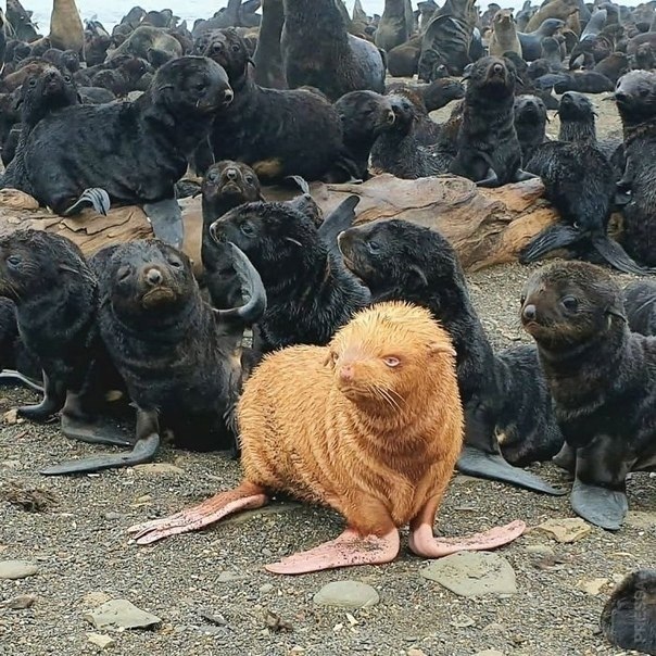          -  ..   ...