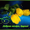 ���� ������, �������� - ��������� 1 ������� 2021 � ������ ��������� �����