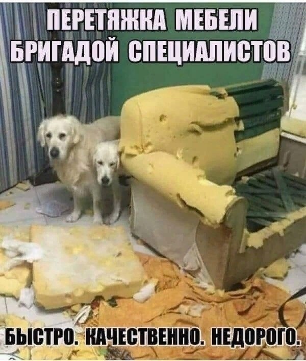  - 3  2021  10:17
