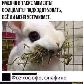  - 19  2021  08:08