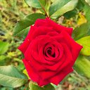 ,  ,06.09.21.   ,, 2021