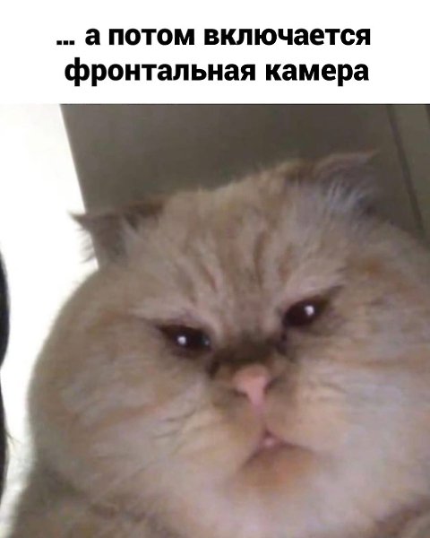 �� ��, ����������� ������ �������� ������� ����� ����������.������� - 4