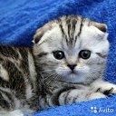  Elena....,  -  13  2021    