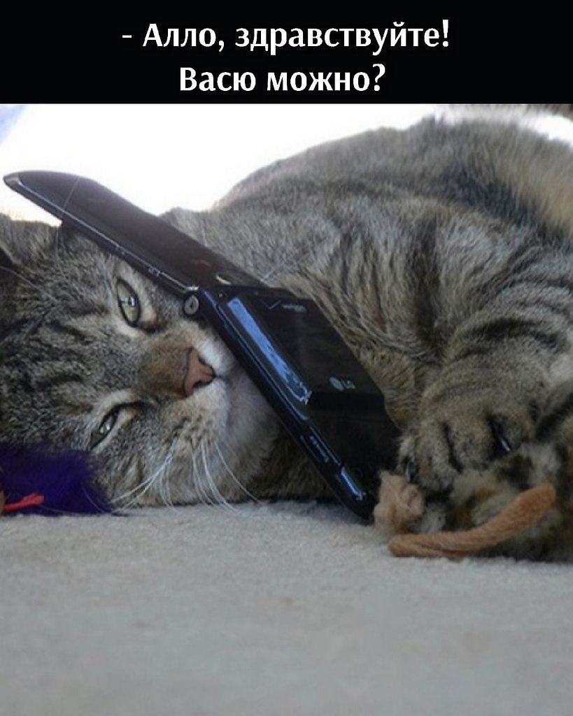      - 9  2021  10:30