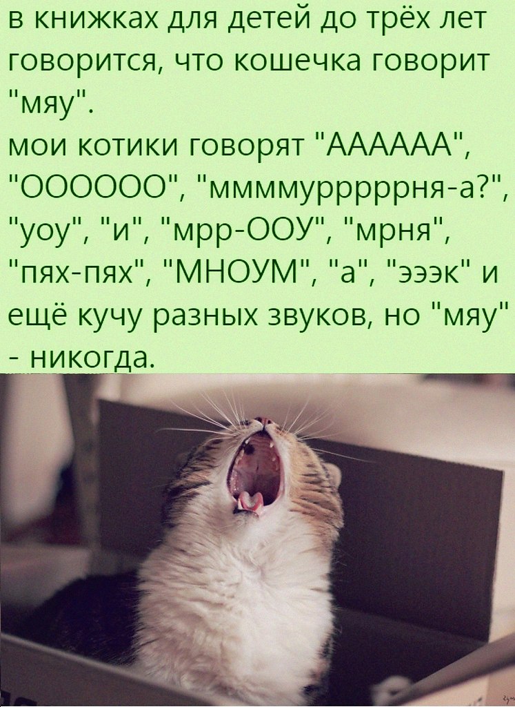   :D - 21  2022  14:23