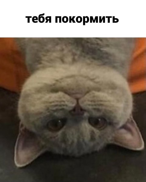 ����, ��� �� ���������� ����� �������� � ����� ���������! ������� ���������� - 4