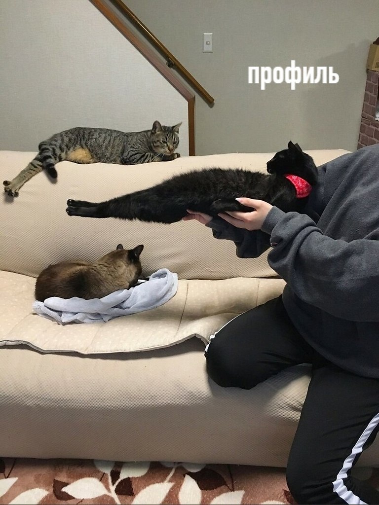   ,    ,  ,     - 2