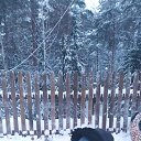 ������ 02.01.2022� �� ������� ���� ����������