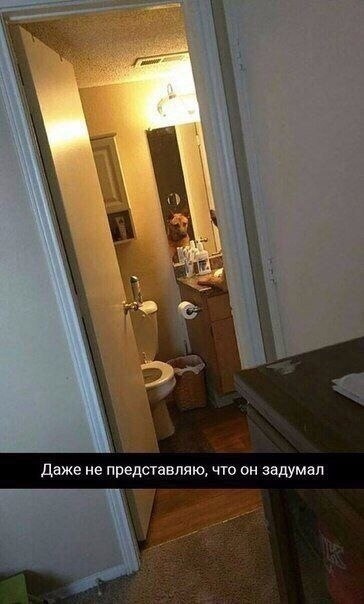  . - 10