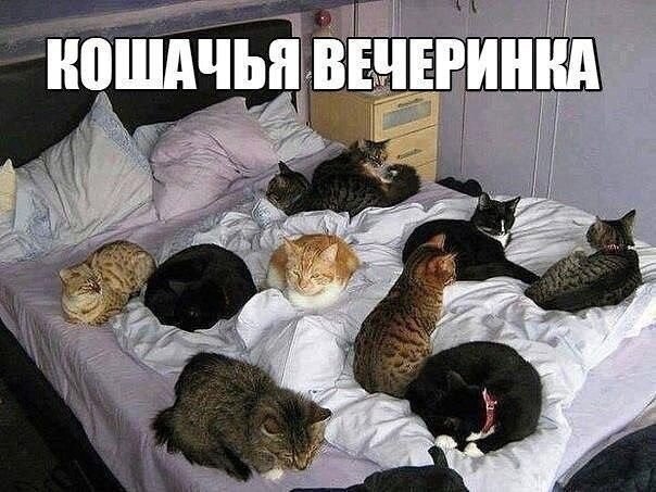    - 24  2021  11:13