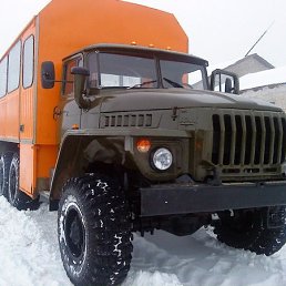 �����������, ���������, 26 ���