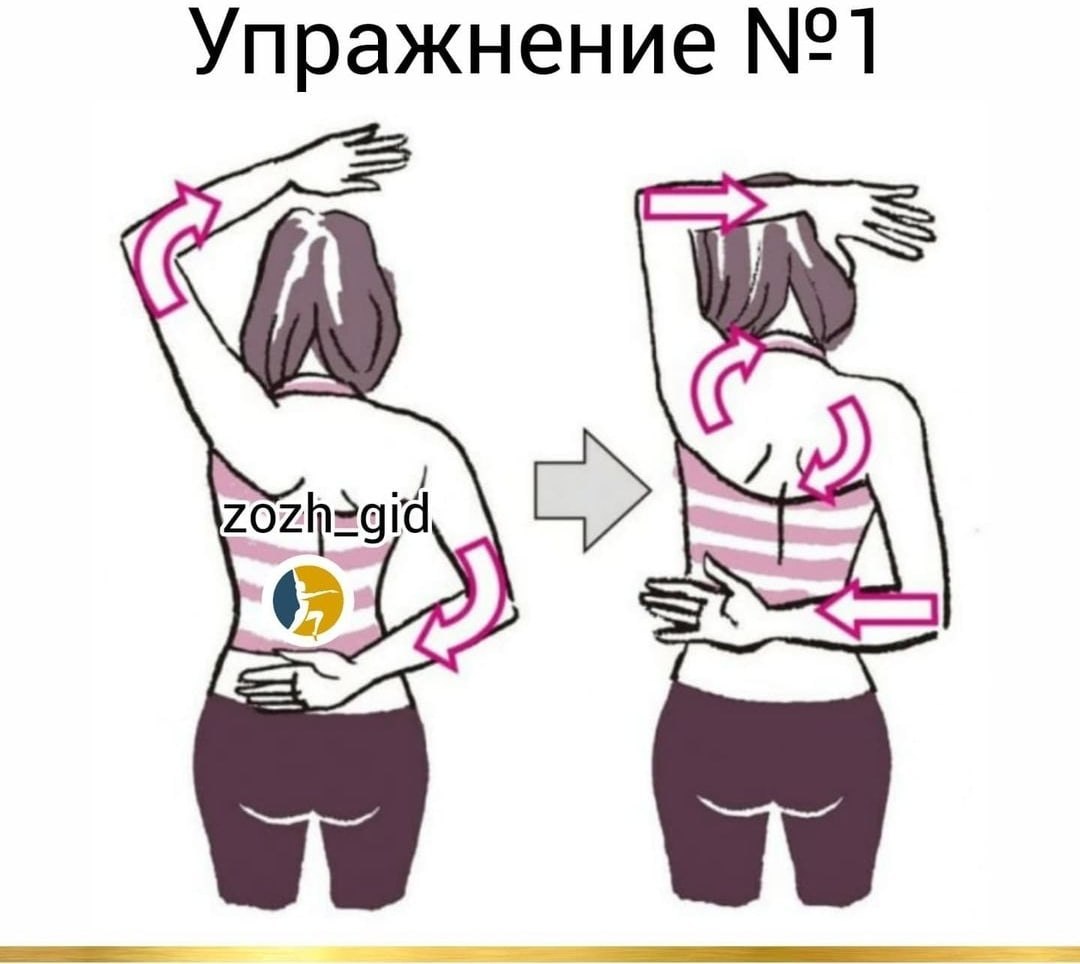    - 8  2021  18:11 - 2