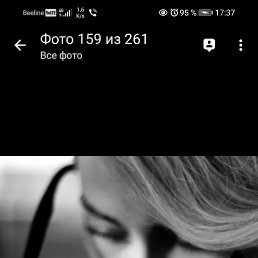 ���� �����, ������, 53 ���� - ��������� 28 ������ 2022