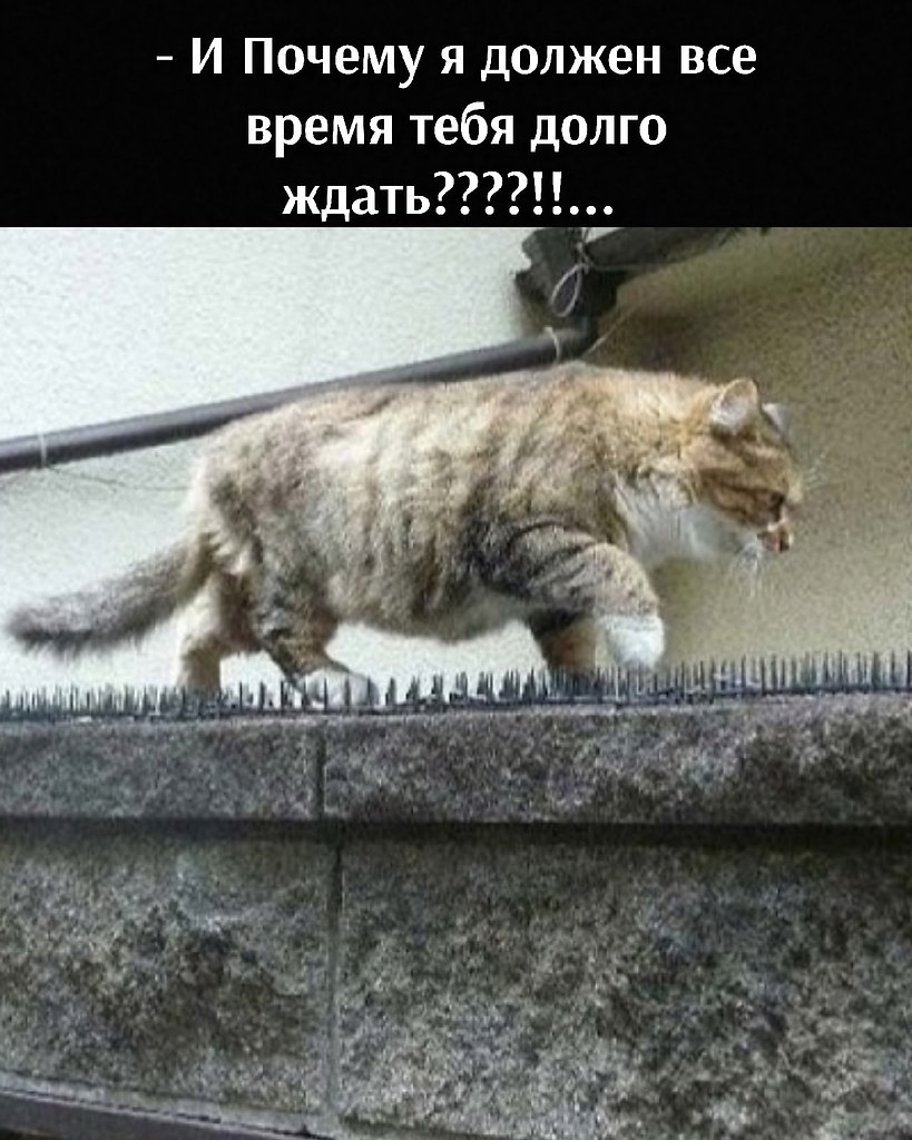       - 19  2021  12:22 - 2