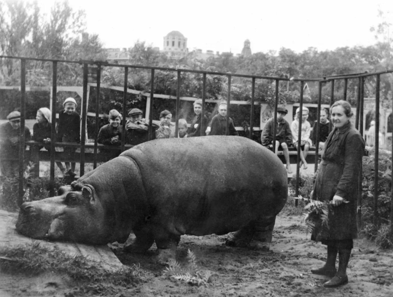 C 6   pac  6   6 c ...