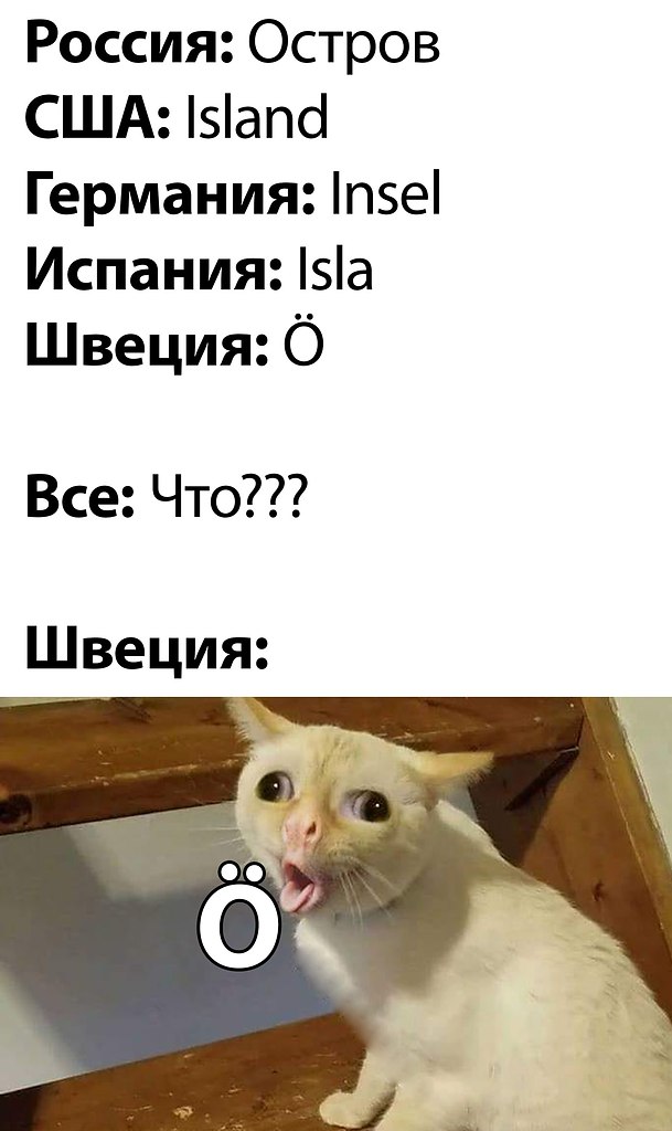    ר! - 13  2021  12:41