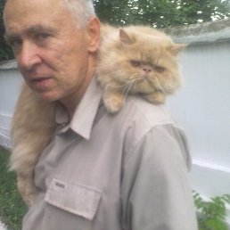 ����, ���������, 65 ���