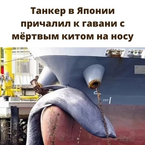 ����� ��������.