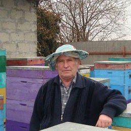 ��������, �����������, 73 ����