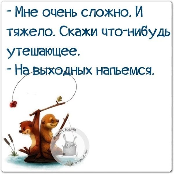   - 14  2021  11:38