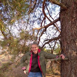 ���� ������, ���������, 66 ��� - ��������� 3 ������� 2021